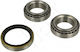 Rulmenți Spate Ford Fiesta 1992-1994 Curier 5025675