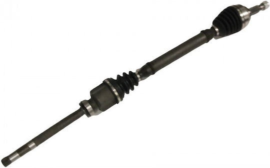 Halimaxónio Citroen Jumpy 16 Hintere 1.6 Bluehdi 115 9820048080