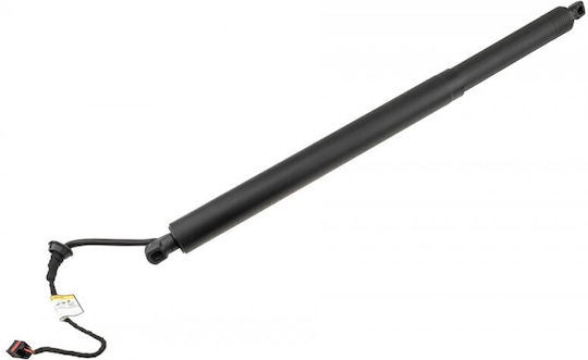 Kofferraum-Schock Kia Carnival 20 Links 81831R0100