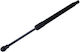 Gasdruckstoßdämpfer Motorhaube Nissan Murano 03 65470-ca000