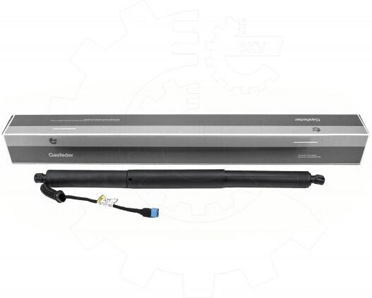 Αμορτισέρ Πίσω Πόρτας Bmw X1 Δεξιά 51247481807