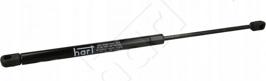 Kofferraum-Schock Peugeot 206 2001-2007 Cc 8731f2