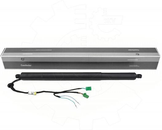 Peugeot Kofferraum-Schock Hintere Tür Rechts 9830769680
