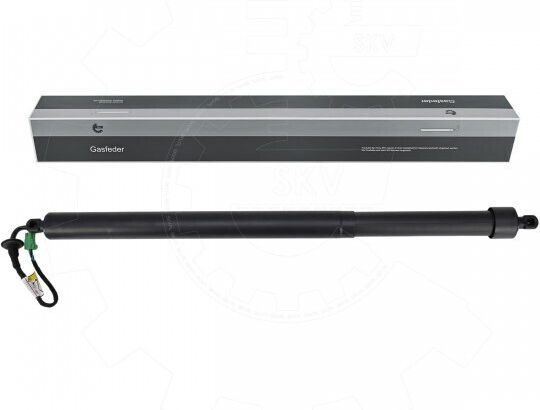 Αμορτισέρ Πίσω Πόρτας Peugeot 5008 Ii Δεξιά 9830770480