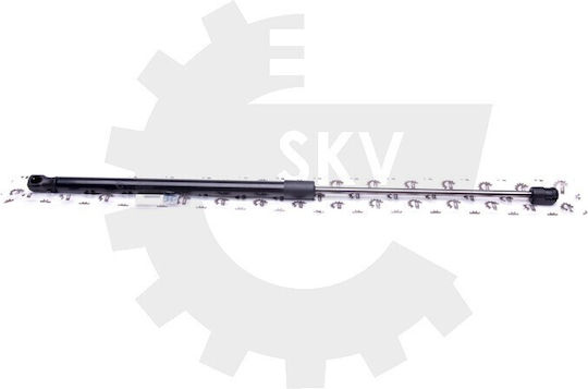 Αμορτισέρ Πίσω Καπό Citroen C4 Coupe 96472953808731k0 96472953808731k0