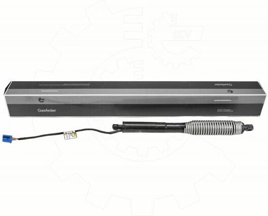Bmw 5 Series Rear Trunk Shock Right 51247366404