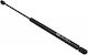 Amortizoare Cu Gaz Capota Portbagaj Honda Civic Vii 02.01-09.05 74870-s6d-e02