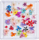 Luxorise Dried Flowers Nails Rainbow Flowers
