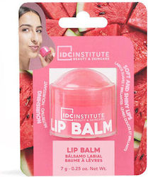 IDC Institute Lippenpflege IDC Institute Lippenpflege