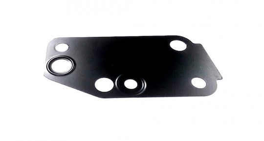 Garnitură Pompă De Apă Ford Rover 2.4 Tdci 00 1096559