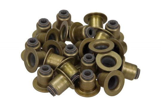 Set Garnituri Capete Supapă Peugeot 407 2.7 Hdi 05