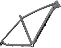 Accent Bicycle Frame