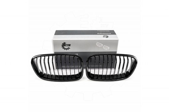 BMW F20 Radiator Mask Set Left or Right Single Grille Glossy Black