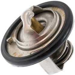 Θερμοστάτης Daewoo Matiz Kalos 94580182