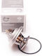 SKV Auto Thermostat Daewoo Daimler Jaguar Mercedes 0022037675 22037675