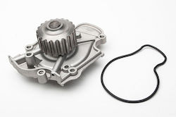 JPN Car Water Pump for Accord 2.0 2.2 1990.01 1.8 1996.03 Odyssey 2.2 2.3 1994.09 Prelude F20a4 1991.11 19200pt0013 JPN Car Water Pump for Accord 2.0 2.2 1990.01 1.8 1996.03 Odyssey 2.2 2.3 1994.09 Prelude F20a4 1991.11 19200pt0013