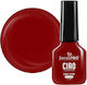 One Step Semi-permanent Nail Polish Sensopro Mi...