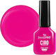 One Step Semipermanent Nail Polish Sensopro Mil...