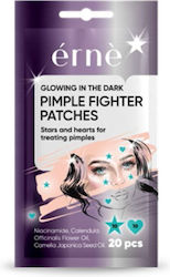 Erne Pickel-Patches 20 Stück Erne Pickel-Patches 20 Stück