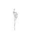 Διακοσμητικό Κλαδί Sakura Arpimex Srl Arp-a34909-wh