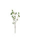 Клон Маслина Изкуствен 20x92см Ai Decoration 86162 00056984