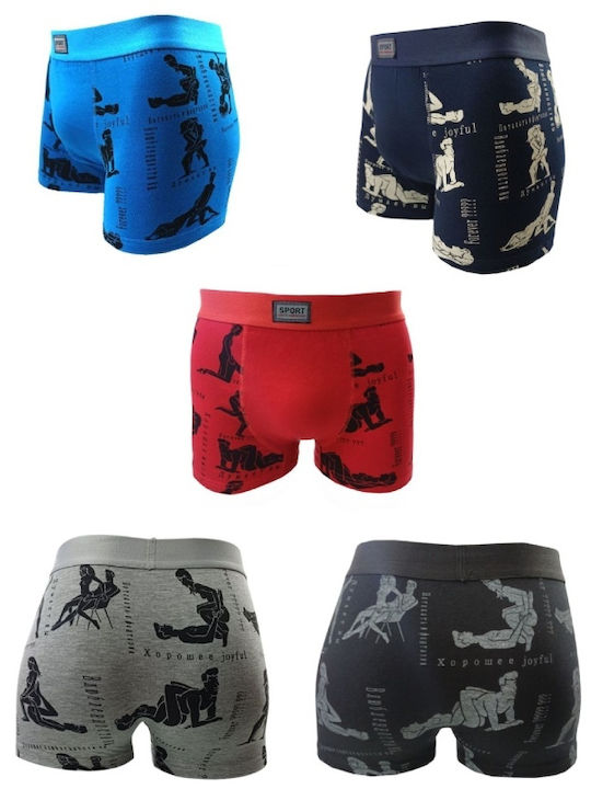 BS Collection
