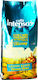 Coffee Espresso Intenso Caffe Tuscany 1000g Beans