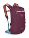 Osprey Daylite Cinch Pack Бордо
