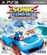 Sonic & All PS3 Game