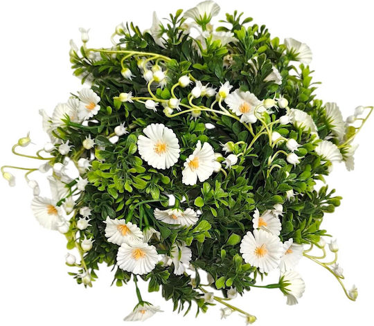 Coroană De Flori Din Plantă Suculentă