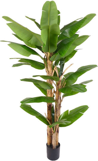 Artekko Grünes Künstliches Musa Baum in Topf 210cm x 210cm