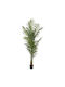 Artekko Green Artificial Plant Lady Palm Pot 190cm x 190cm