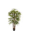 Artekko Green Artificial Potted Plant Rapis 120cm x 120cm