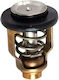 Yamaha Auto-Thermostat Suzuki 60°C