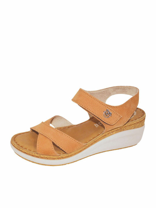 Anatomic Summer Women's Brown Platforms