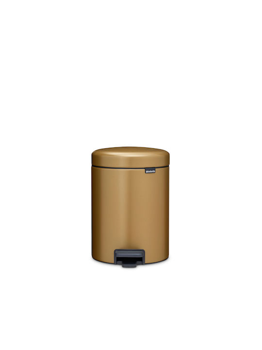 Brabantia Brabantia Mülleimer NewIcon Pedal Metallisch mit Pedal 5lt