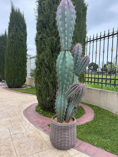 Artificial Cactus 180cm Modern Eva Pot