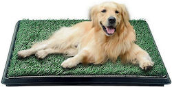 Hundewindeln Badeshose Hundewindeln Badeshose