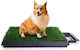 Dog Panties 1pc