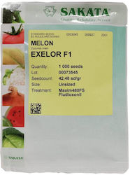 Exelor Melone F1 1000 Samen