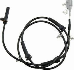 NTY Auto-Motorsensor Drehzahlmesser Nissan Almera Ii 2000-0 2.2l Limousine Nissan Almera Ii 2000-0 1.5l Limousine Nissan Almera Ii 2000-0 1.8l Limousine