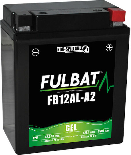 Fulbat UPS Battery with Capacity 12.6Ah and Voltage 12V 550926 1 Piece