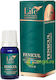 Fennel Essential Oil Internal Use 10ml