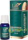 Grapefruit Essential Oil 10ml