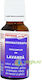 Favicomplex Lavender Essential Oil 20ml