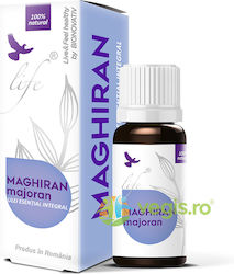 Essential Oil Marjoram 10ml Essential Oil Marjoram 10ml
