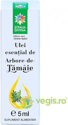 Frankincense Tree Essential Oil Internal External Use 5ml Frankincense Tree Essential Oil Internal External Use 5ml