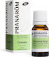 Bio Kurkuma Ätherisches Öl 10ml