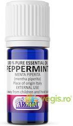 Ulei Esențial de Mentă Pentru Uz Extern 10ml Ulei Esențial de Mentă Pentru Uz Extern 10ml