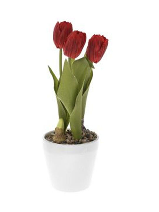 Rote Tulpen 30 cm Weiße Keramik Topfpflanze